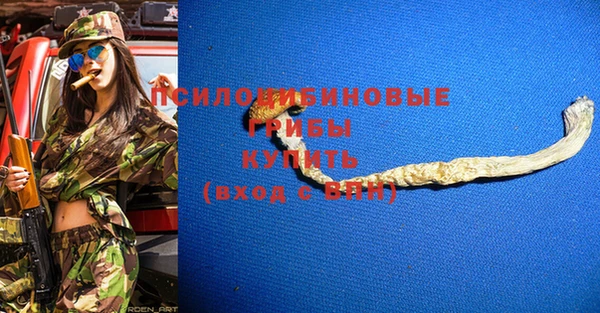 PSILOCYBIN Заволжье