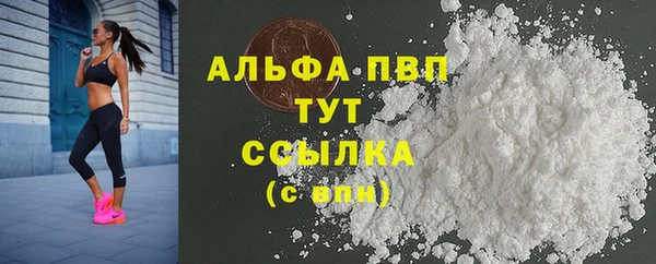 PSILOCYBIN Заволжье