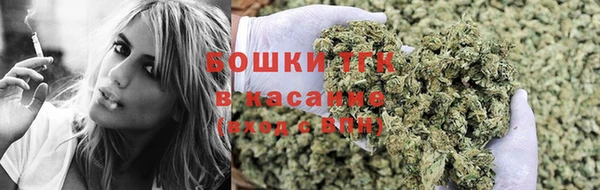 гашик Заводоуковск