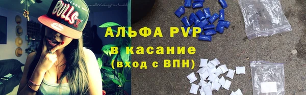 гашик Заводоуковск