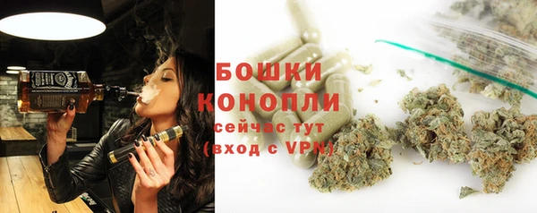 PSILOCYBIN Заволжье